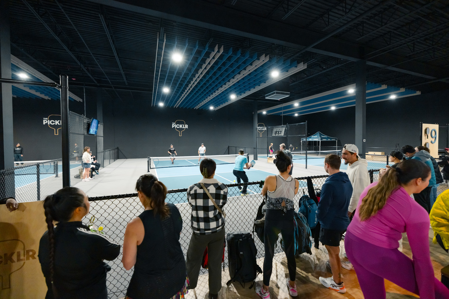 pickleball club and membership